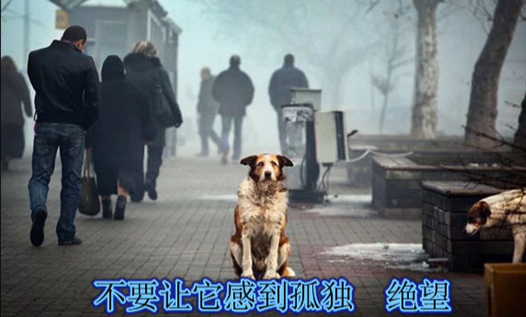 潍坊潍坊爱影圈微博微信转发案例